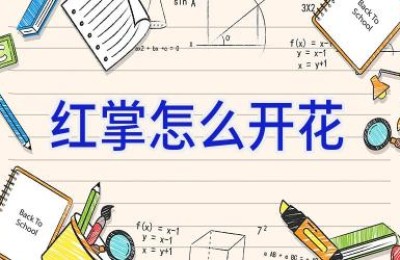 红掌怎么开花