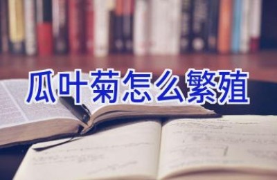 瓜叶菊怎么繁殖