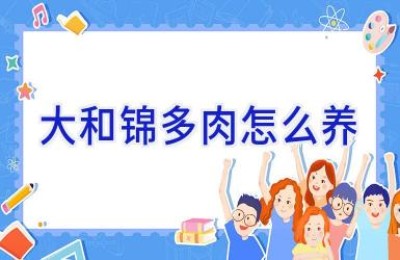 大和锦多肉怎么养