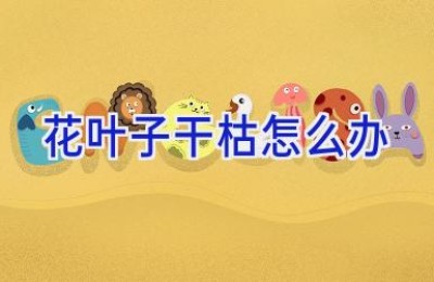 花叶子干枯怎么办