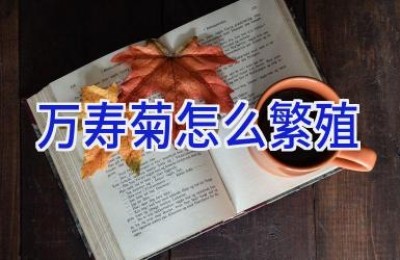 万寿菊怎么繁殖