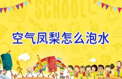 空气凤梨怎么泡水