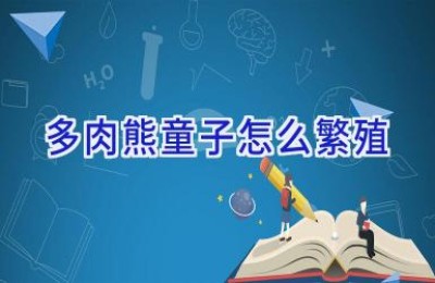 多肉熊童子怎么繁殖