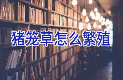 猪笼草怎么繁殖