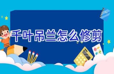 千叶吊兰怎么修剪