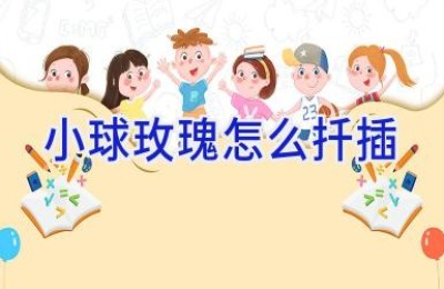 小球玫瑰怎么扦插