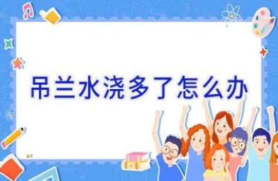 吊兰水浇多了怎么办