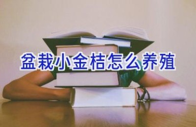 盆栽小金桔怎么养殖