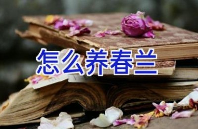 怎么养春兰