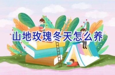 山地玫瑰冬天怎么养