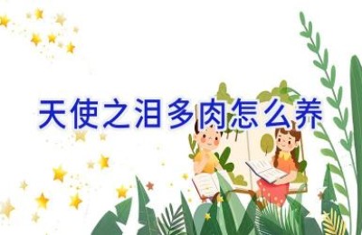 天使之泪多肉怎么养