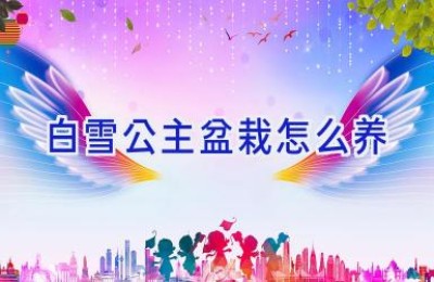 白雪公主盆栽怎么养