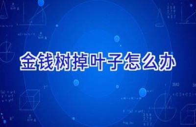 金钱树掉叶子怎么办