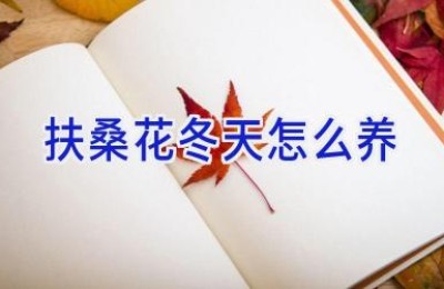 扶桑花冬天怎么养