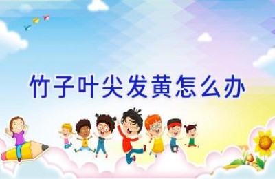 竹子叶尖发黄怎么办