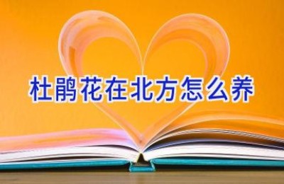杜鹃花在北方怎么养