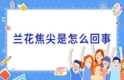 兰花焦尖是怎么回事