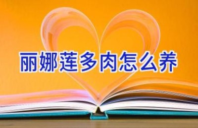 丽娜莲多肉怎么养