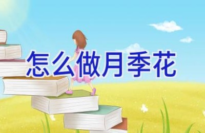 怎么做月季花