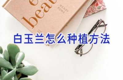 白玉兰怎么种植方法
