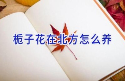 栀子花在北方怎么养