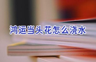 鸿运当头花怎么浇水