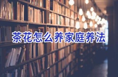 茶花怎么养家庭养法
