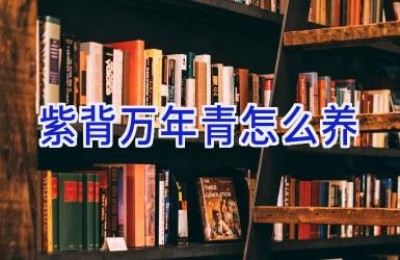 紫背万年青怎么养