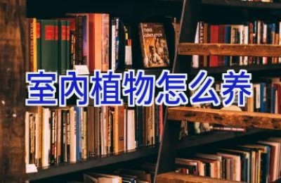 室内植物怎么养