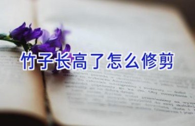 竹子长高了怎么修剪