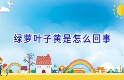 绿萝叶子黄是怎么回事