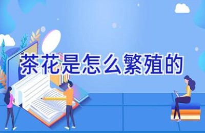 茶花是怎么繁殖的