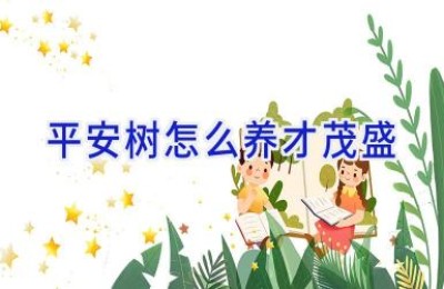 平安树怎么养才茂盛