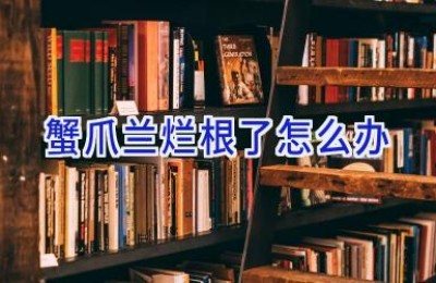 蟹爪兰烂根了怎么办