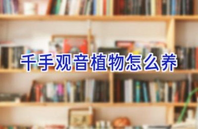 千手观音植物怎么养