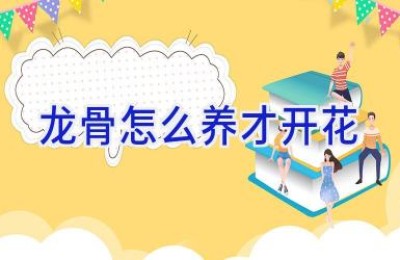 龙骨怎么养才开花