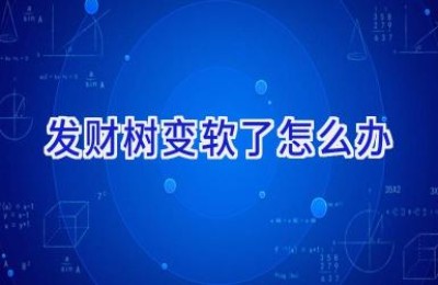 发财树变软了怎么办