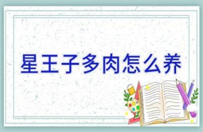 星王子多肉怎么养