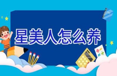 星美人怎么养