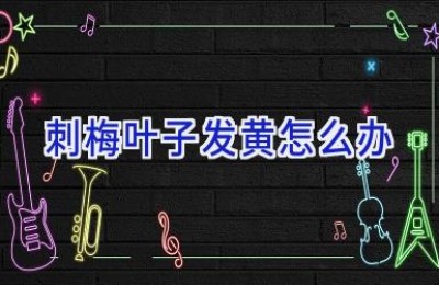 刺梅叶子发黄怎么办