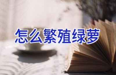 怎么繁殖绿萝