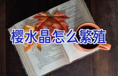 樱水晶怎么繁殖