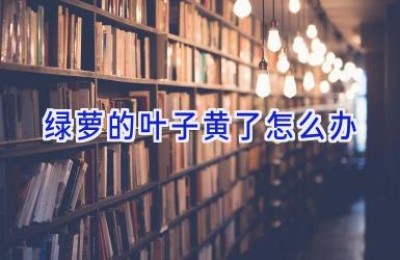 绿萝的叶子黄了怎么办