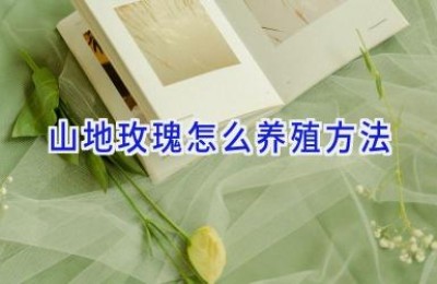 山地玫瑰怎么养殖方法