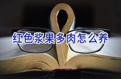 红色浆果多肉怎么养