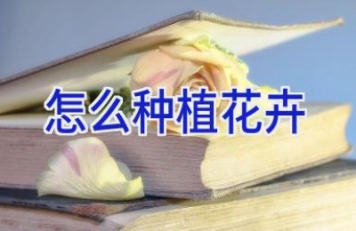 怎么种植花卉