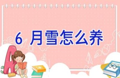 6月雪怎么养
