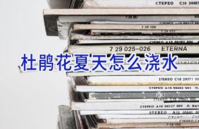 杜鹃花夏天怎么浇水