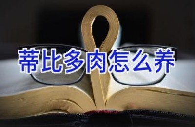 蒂比多肉怎么养