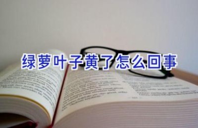 绿萝叶子黄了怎么回事